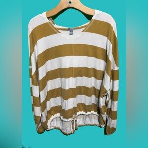 Aerie hooded sweater